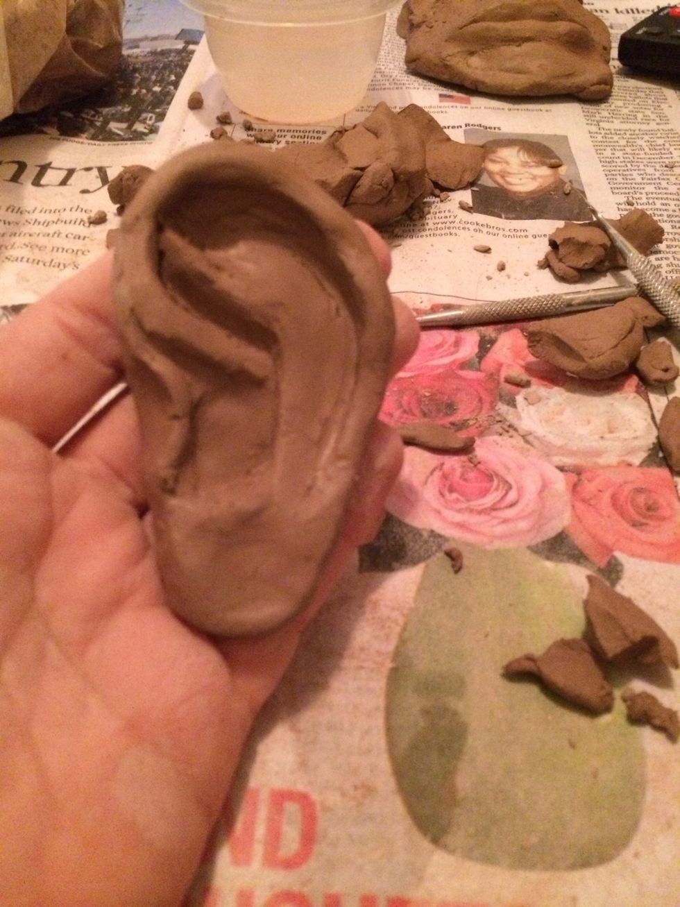 Look at the a reference image to see where all the folds in the ear are.