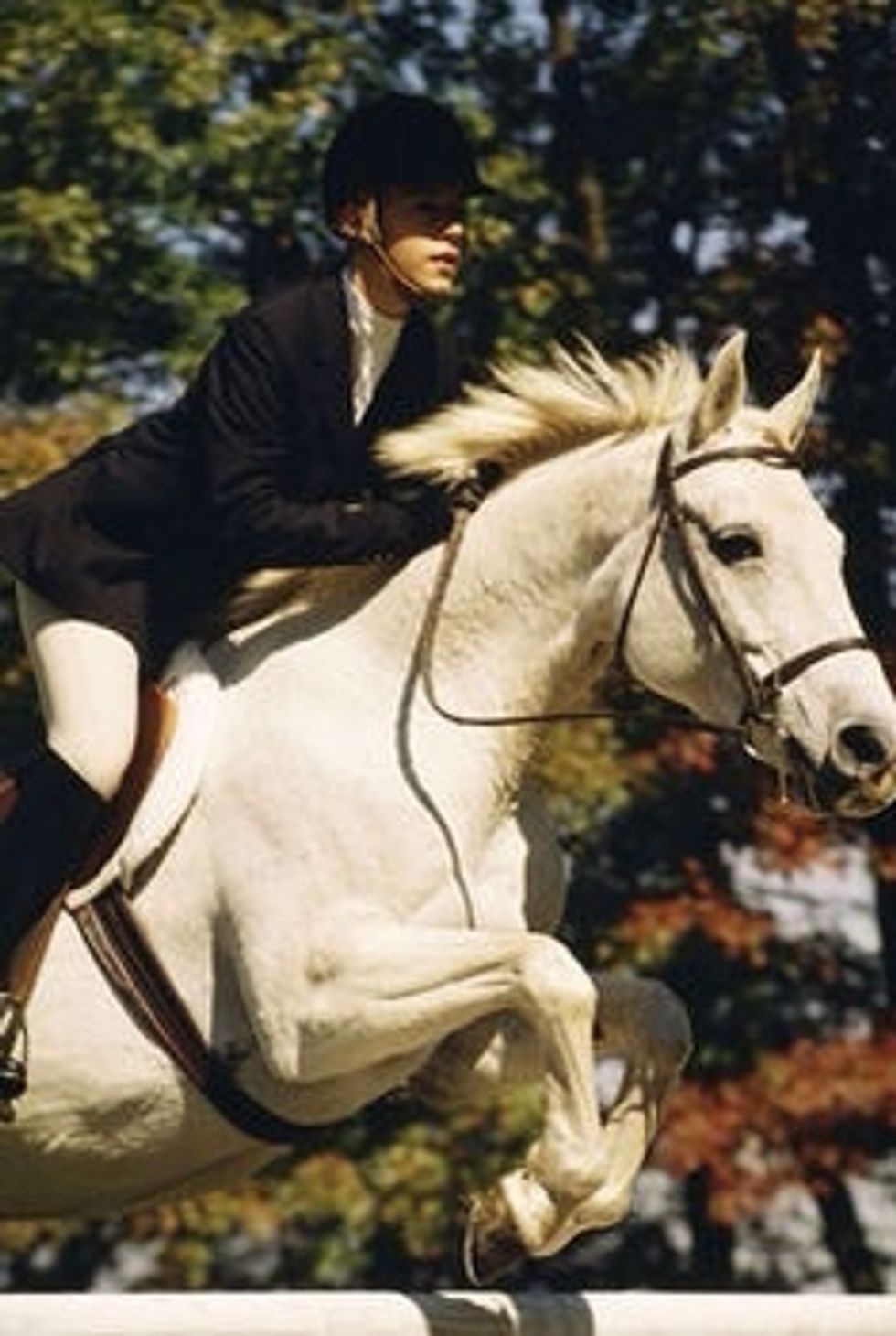 Look at the forward seat position.