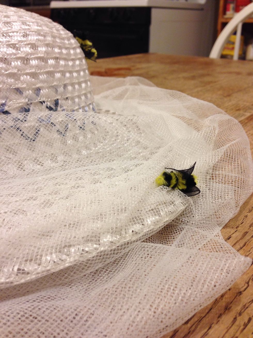 Look at this little guy!