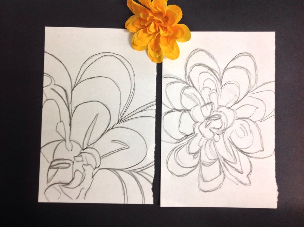 Looking at the flower, draw the flowers as accurately as possible. No shading ! You are focusing on a contour line drawing. Do a few drawings so that you can decide on a flower to further work on.
