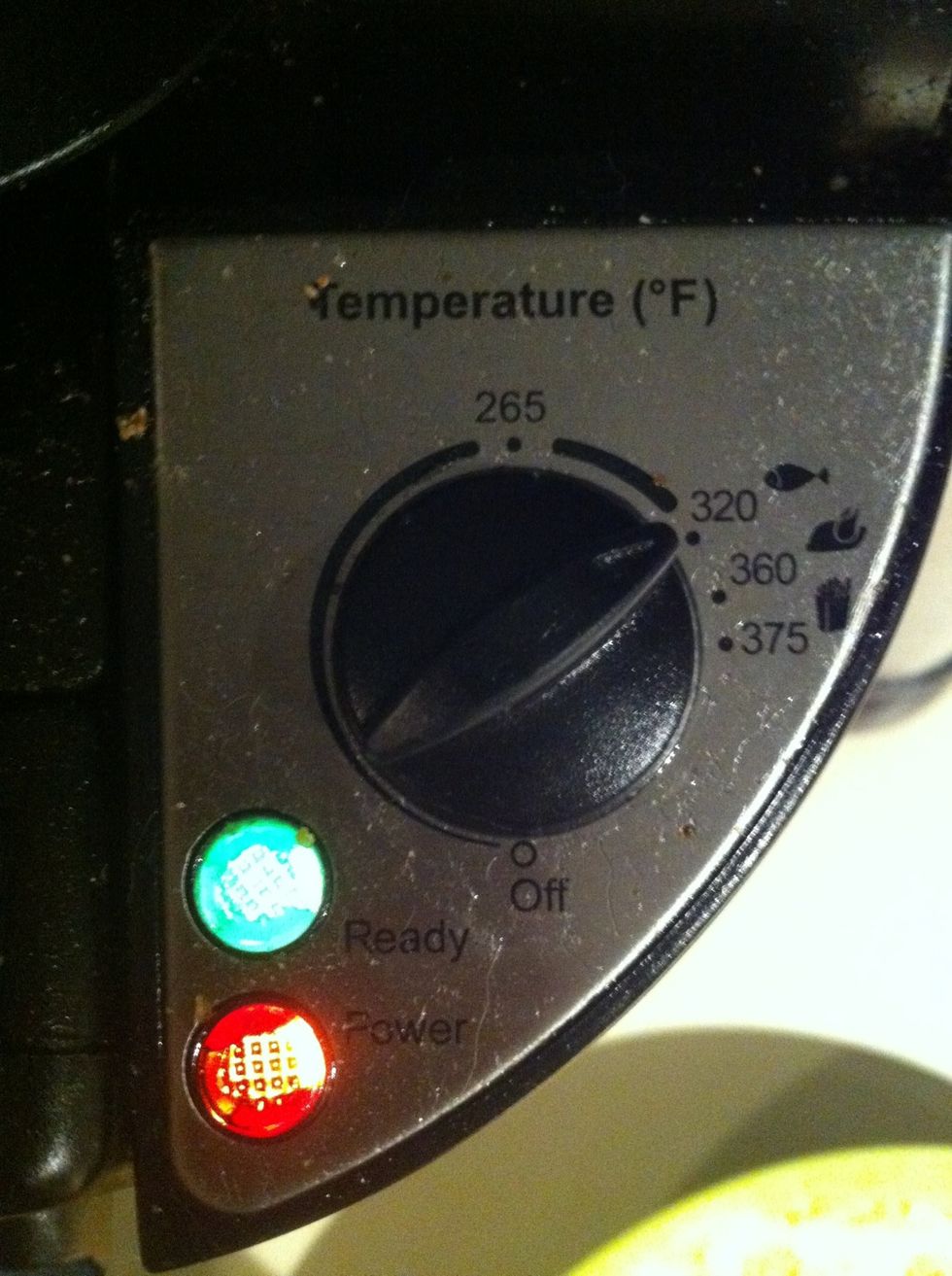 Looks like the fryer is ready!