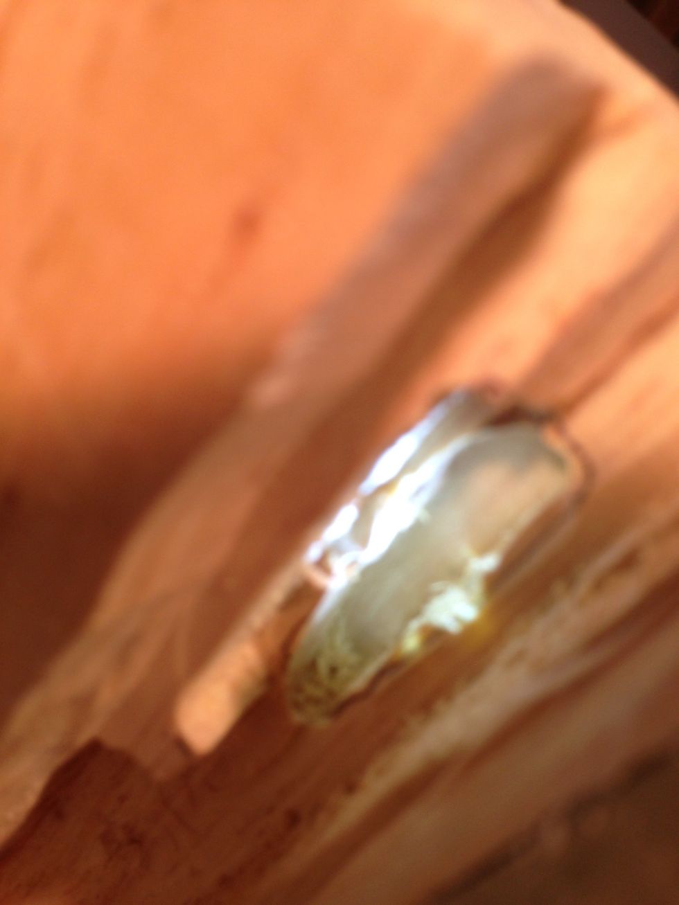 Looks rough now but gets better.