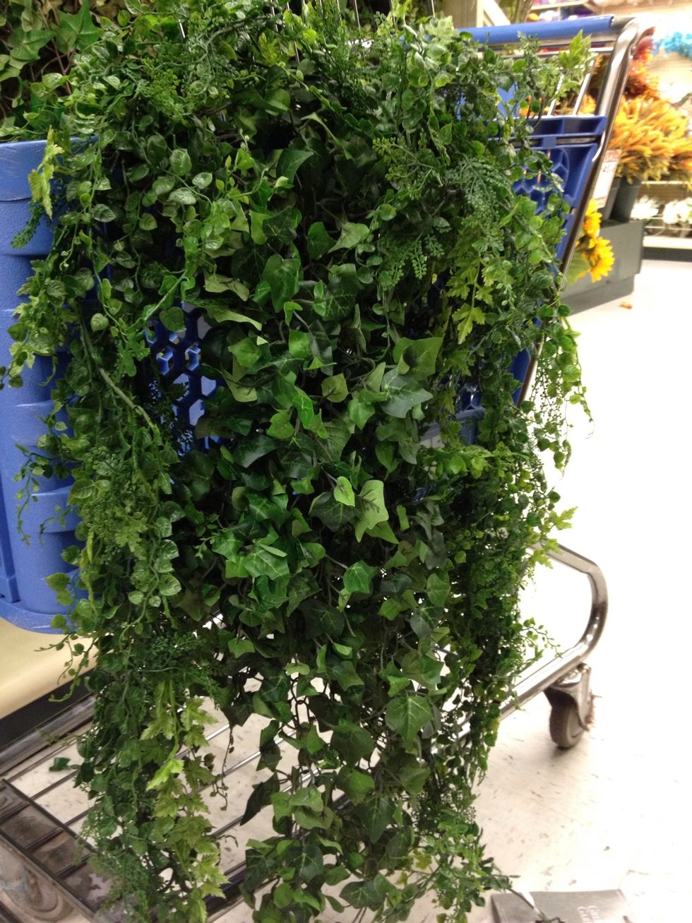 Loop each end and have an inclining slope.