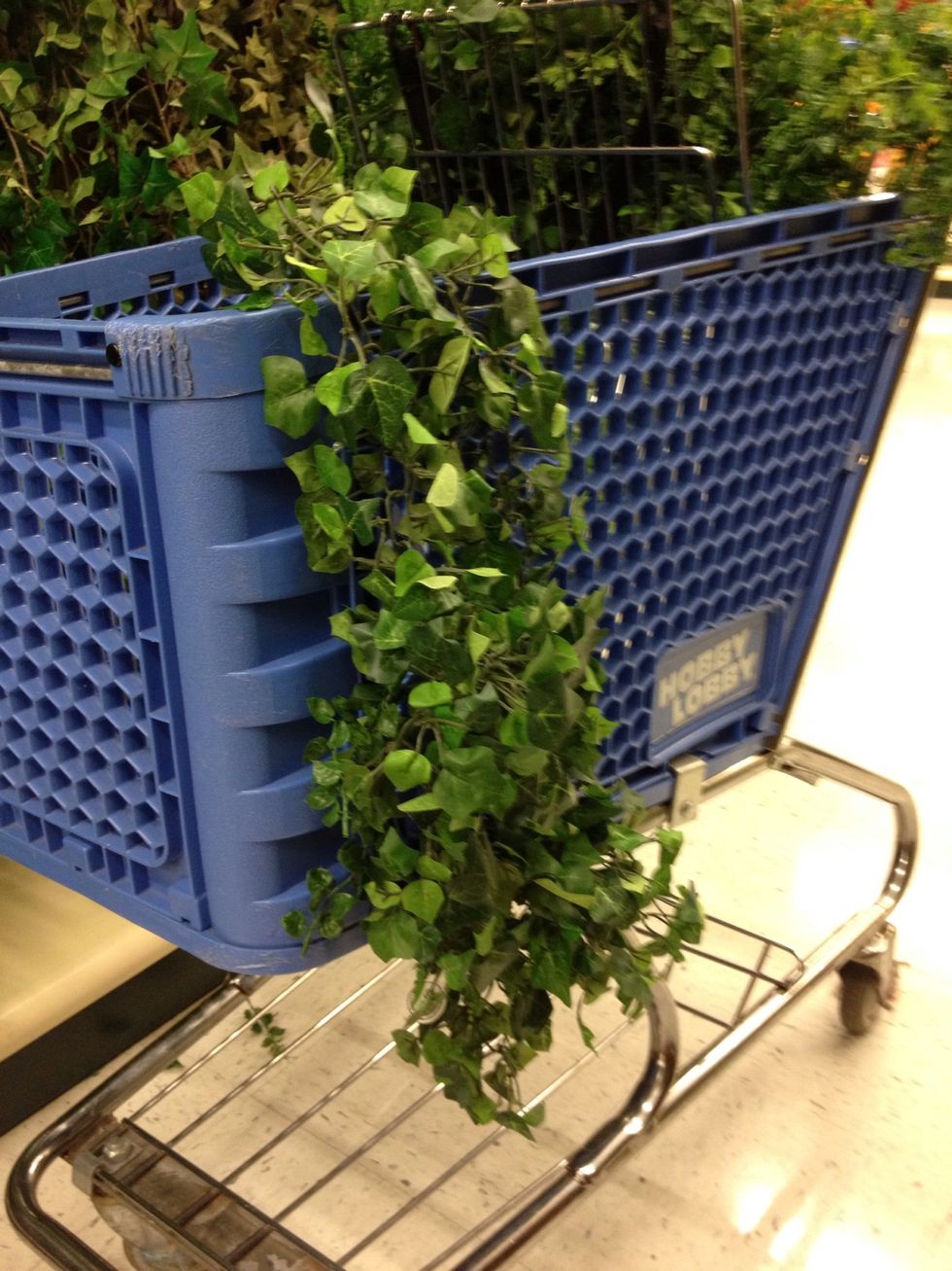 Loop each end at aprx 1.5ft on itself