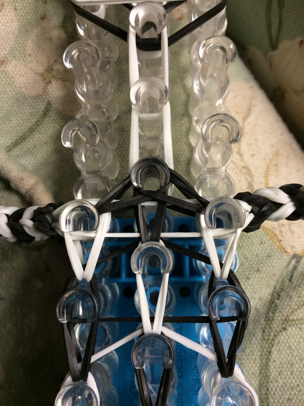 Loop the last two black bands of the body.