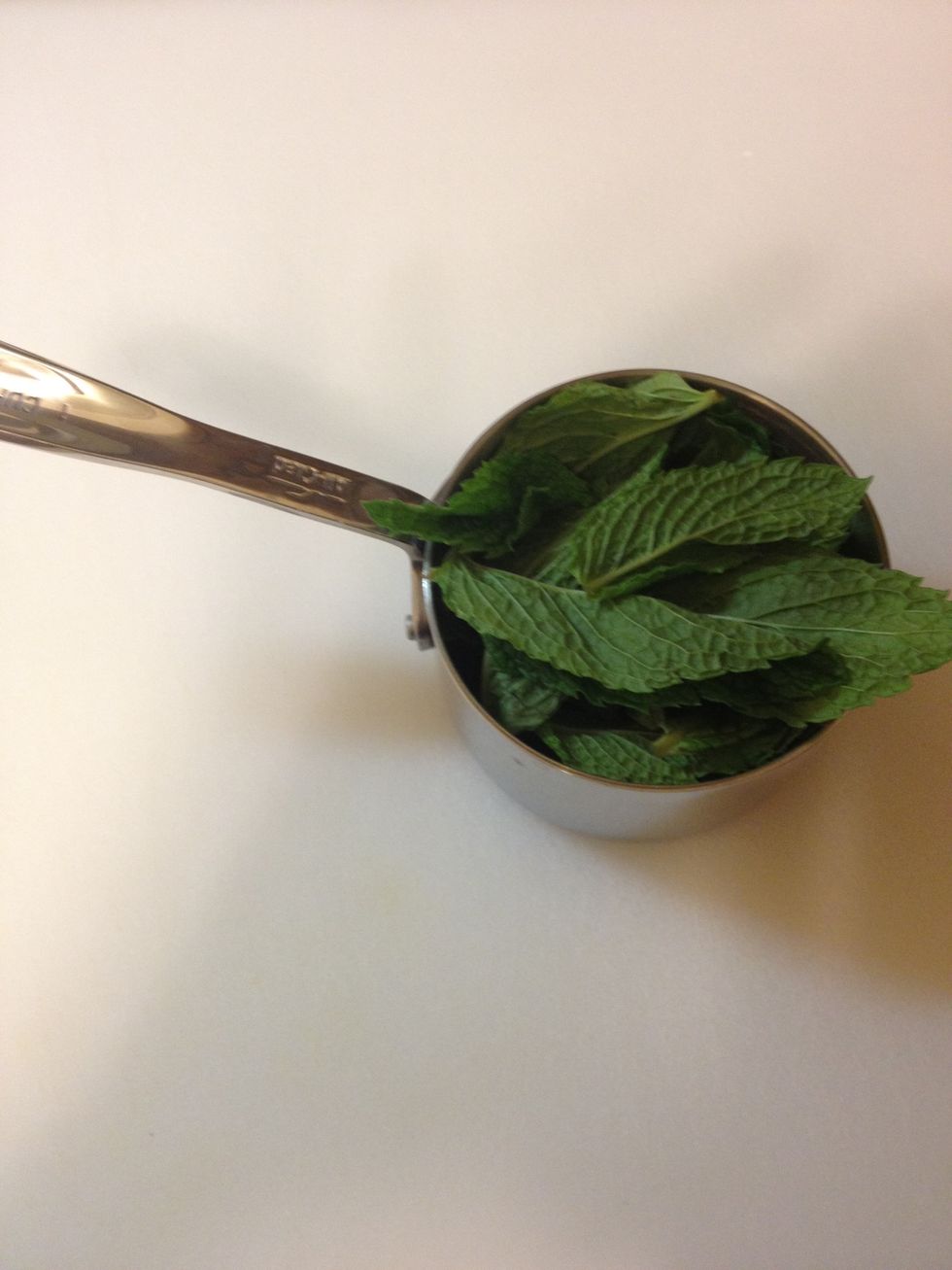 Loosely fill 1 cup with mint.