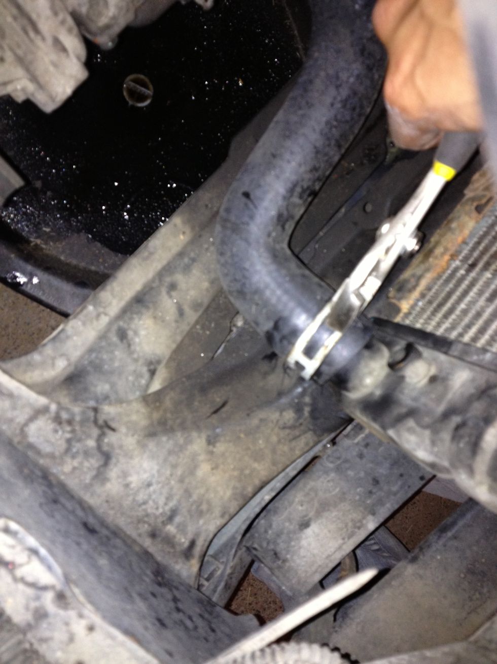 Loosen C-Clamp from lower radiator hose.