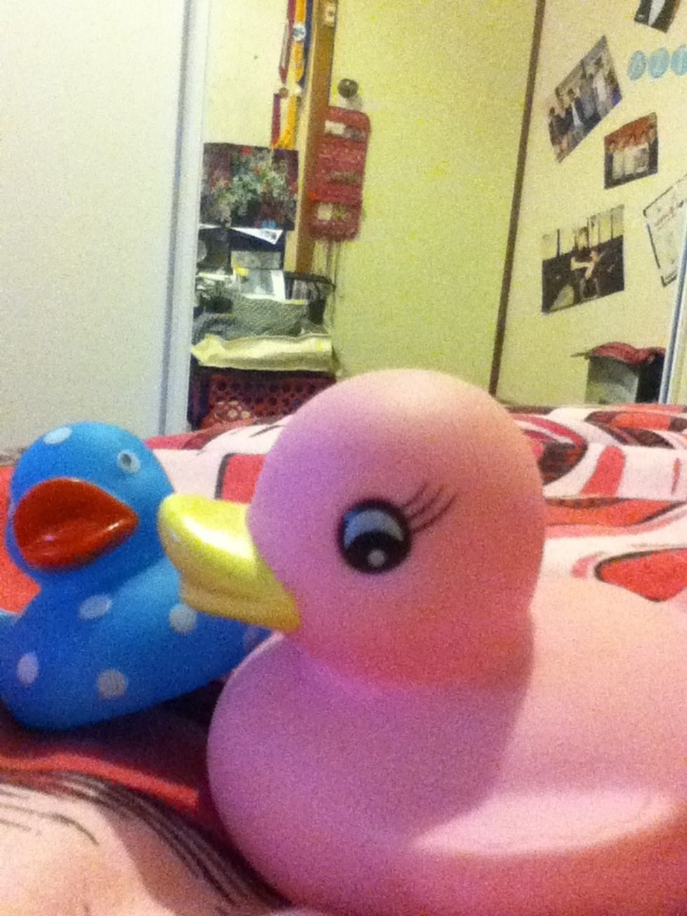 Love ducks. Ok.... Maybe not.... This is sorta a shout out to my Bestie Katie but still who doesn't like ducks *quack*