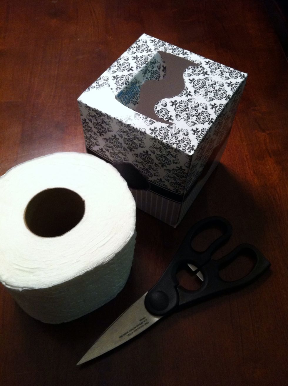 How to reuse a kleenex box B+C Guides