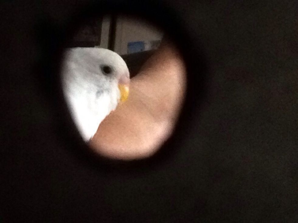 Loves her own spot light