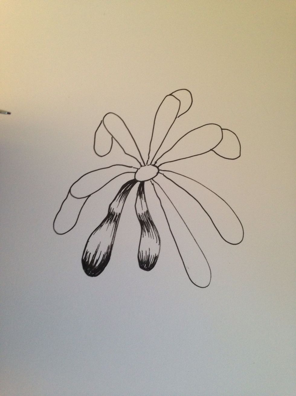 Low points in the petal will be darker then high points. Point lines in the same direction to achieve shape.