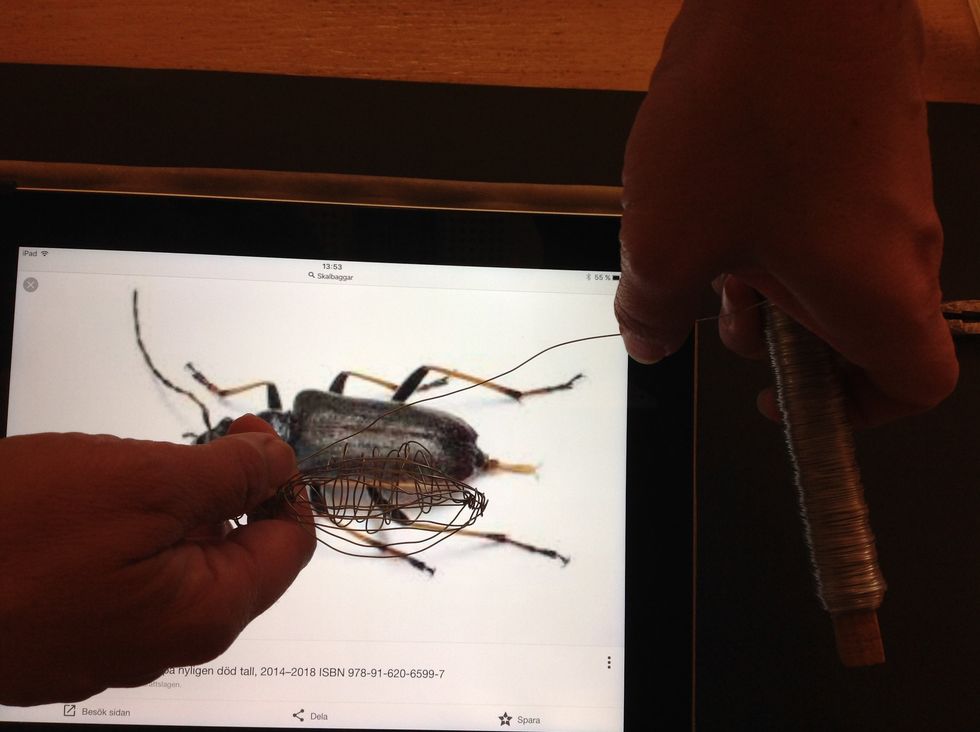 M\u00e4t ut dubbel l\u00e4ngd till bakbenen.