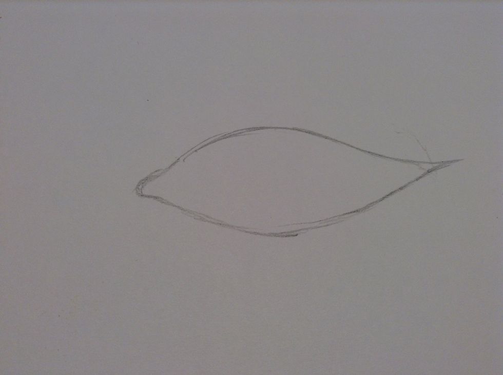 Make a lemon-shape on your paper like this...