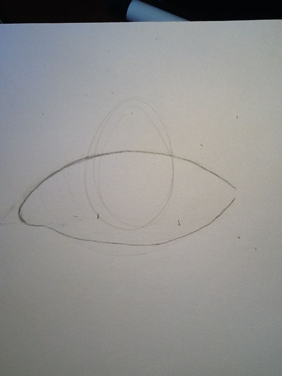 Make a oval/circle extending from almost the bottom of the eye to past the top