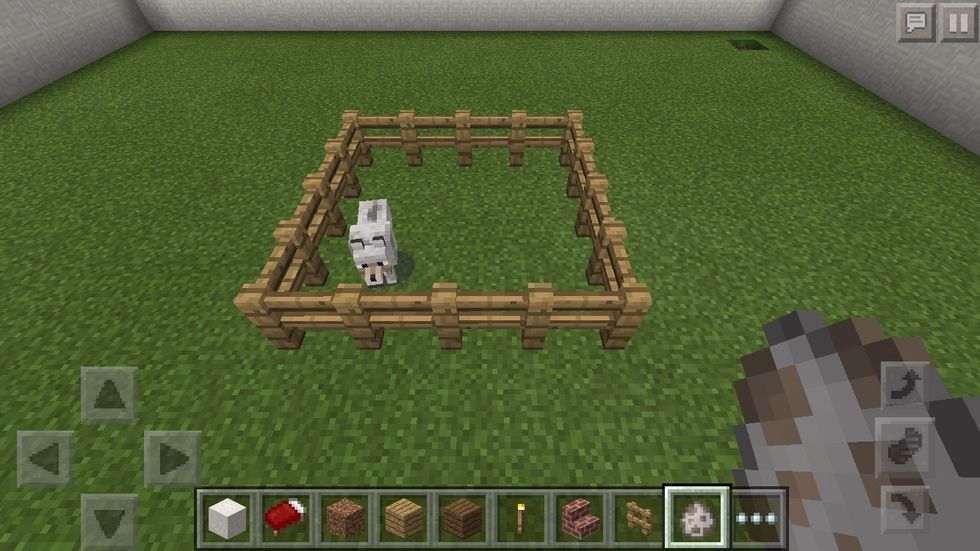 Make a pen and put a wolf inside