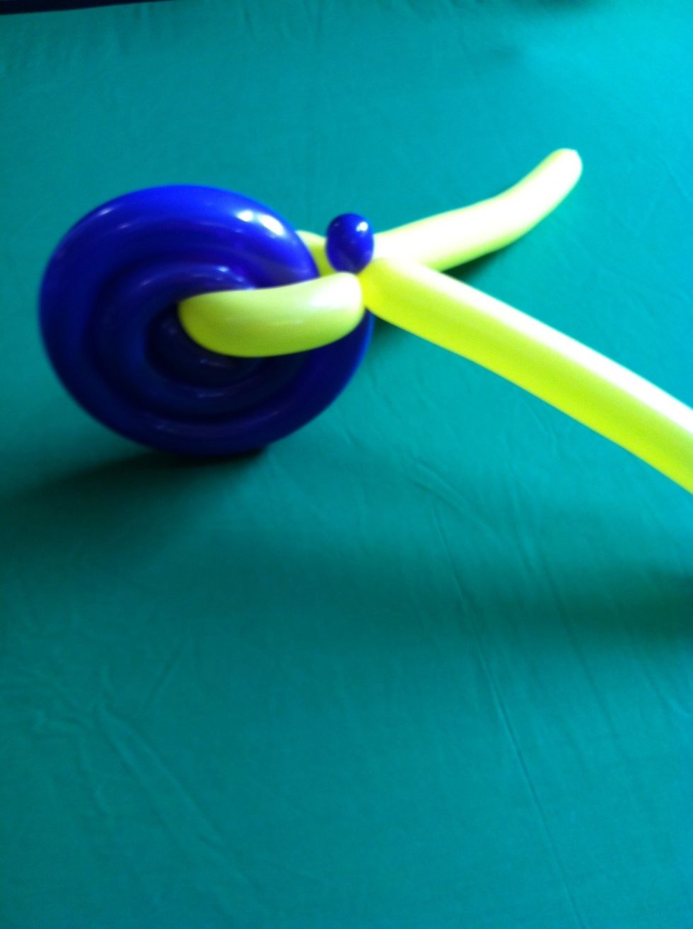 Make a small bubble in the end of the spiral and twist it into the first balloon (this will become the first tire and handle bars)