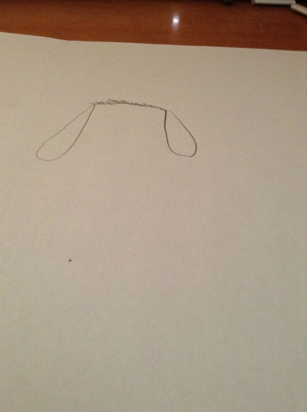 Make a straight or shaggy line connecting the tops of the ears.