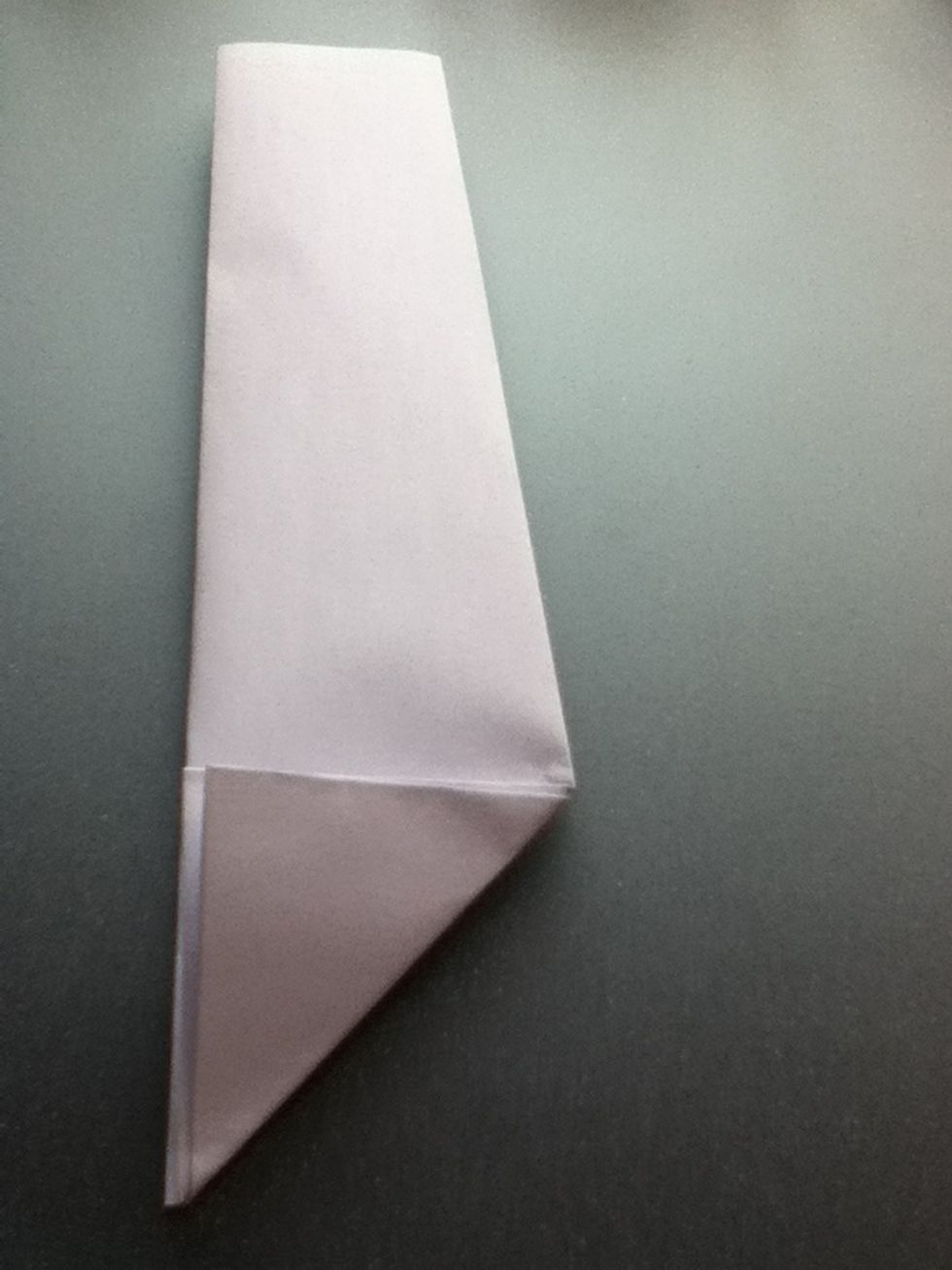 Make a triangle on the bottom of the paper by pulling the bottom corner towards the opposite side