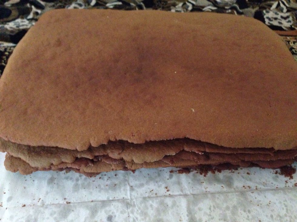 Make all the layers in this way and let them cool