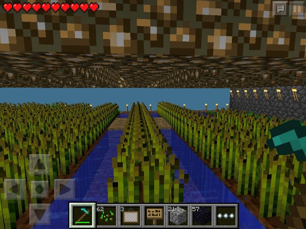 Make an indoor garden