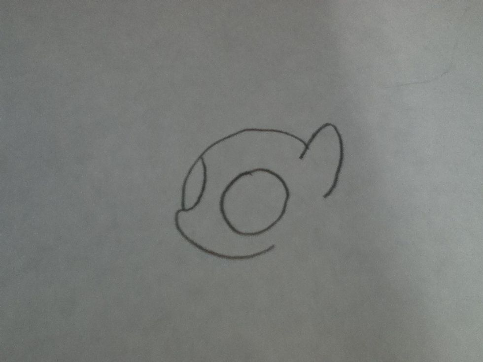 make an outline of the eyes