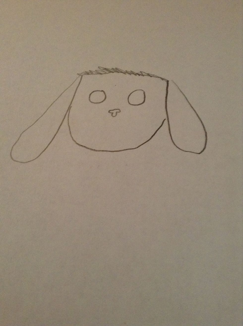 Make circles for the eyes and a small circle, heart, dot, etc. for the nose.