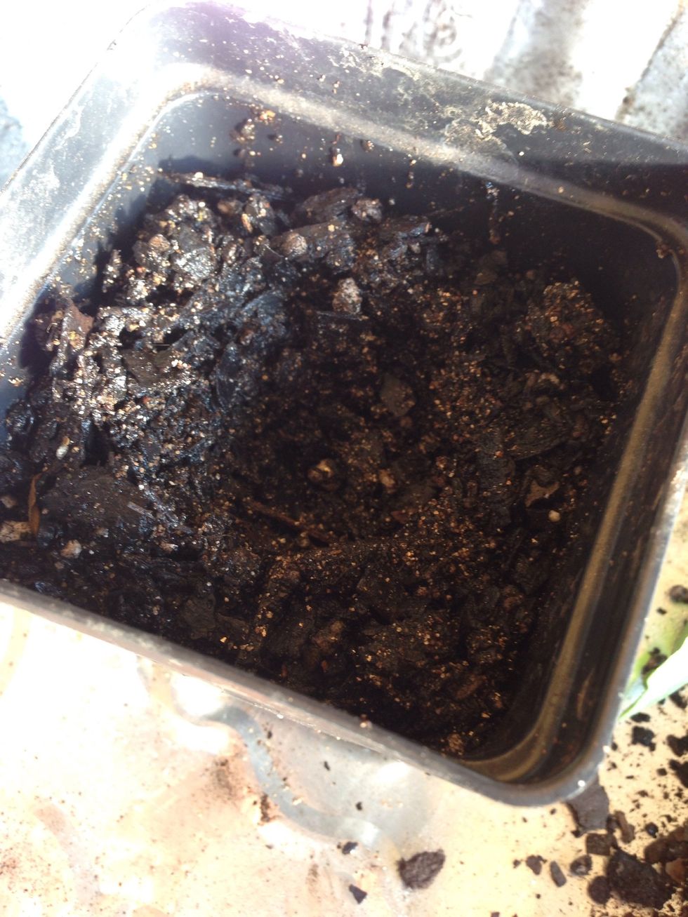 Make hole bigger than rootball in the soil.