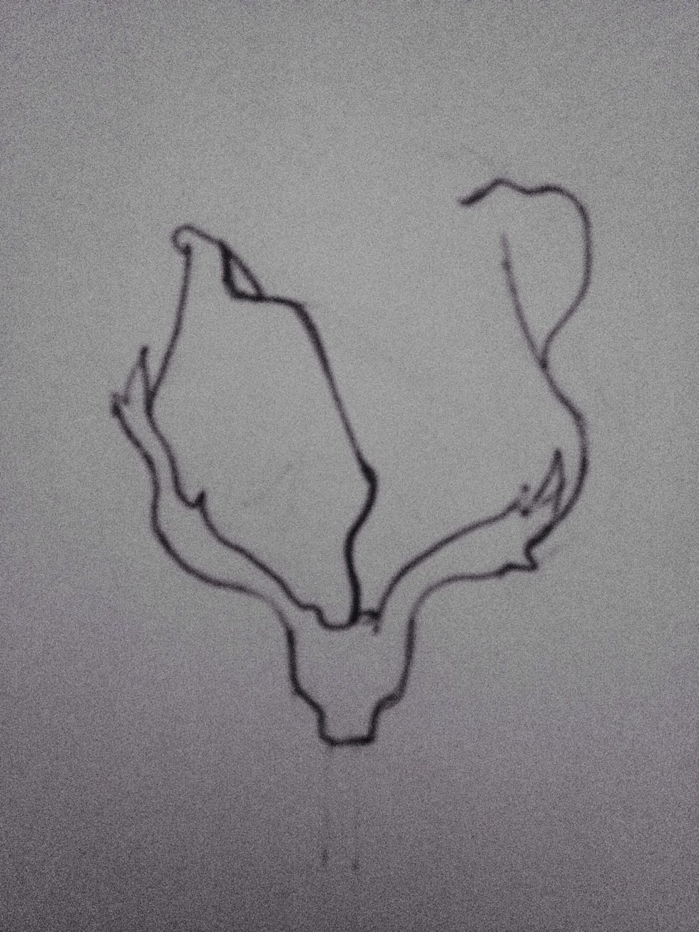 Make it go all the way down to the middle of the base, like this. Don't make the lines exactly straight.