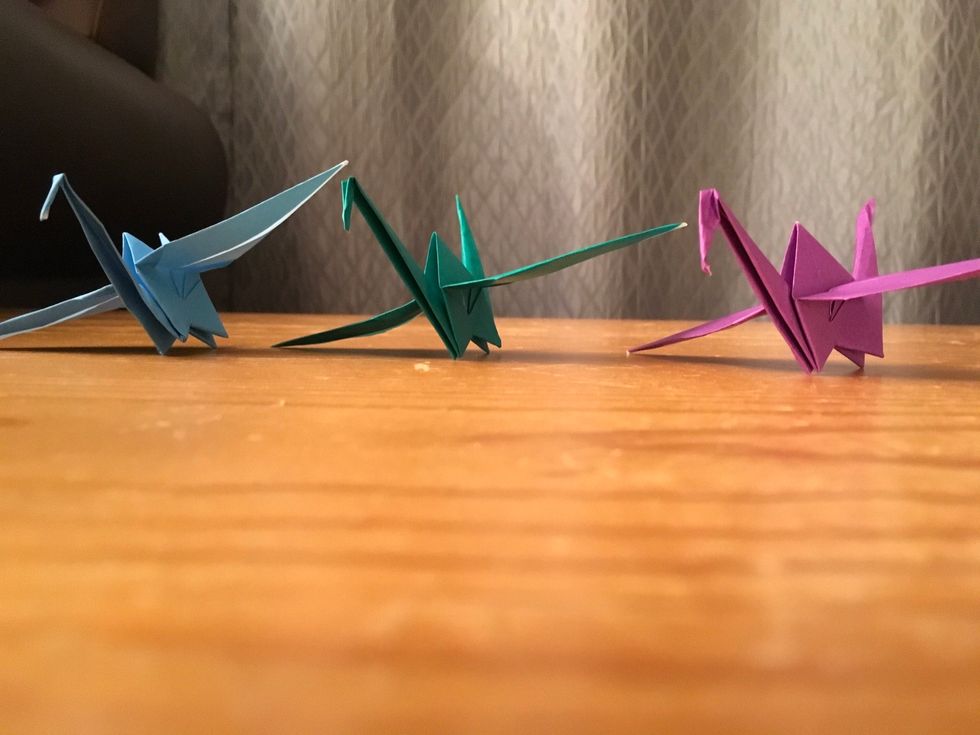 Make more, and decorate anything you want with them.