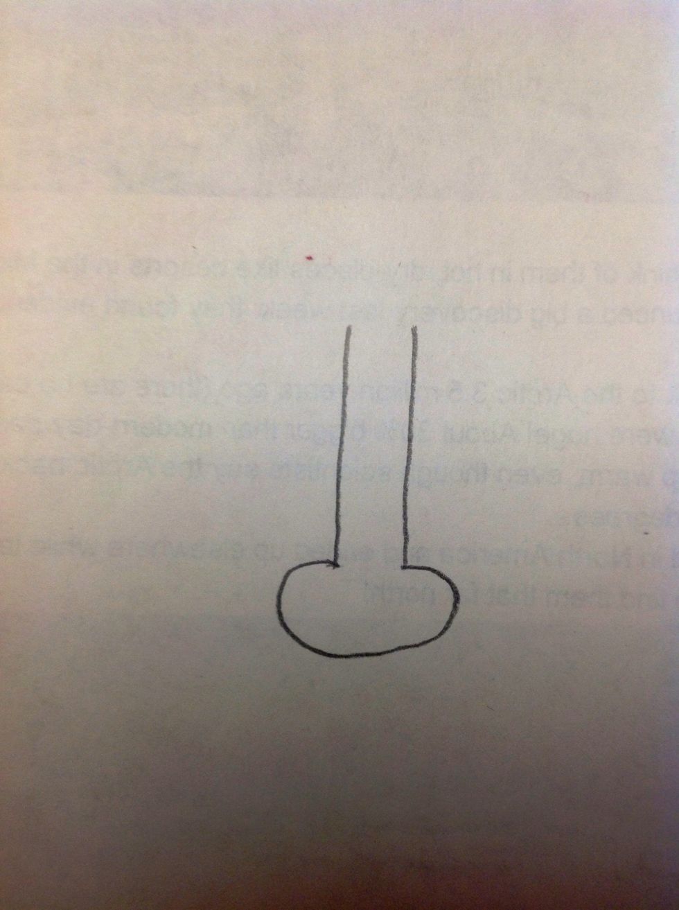 Make one straight line starting from the edge on one side. Do the same with the other side