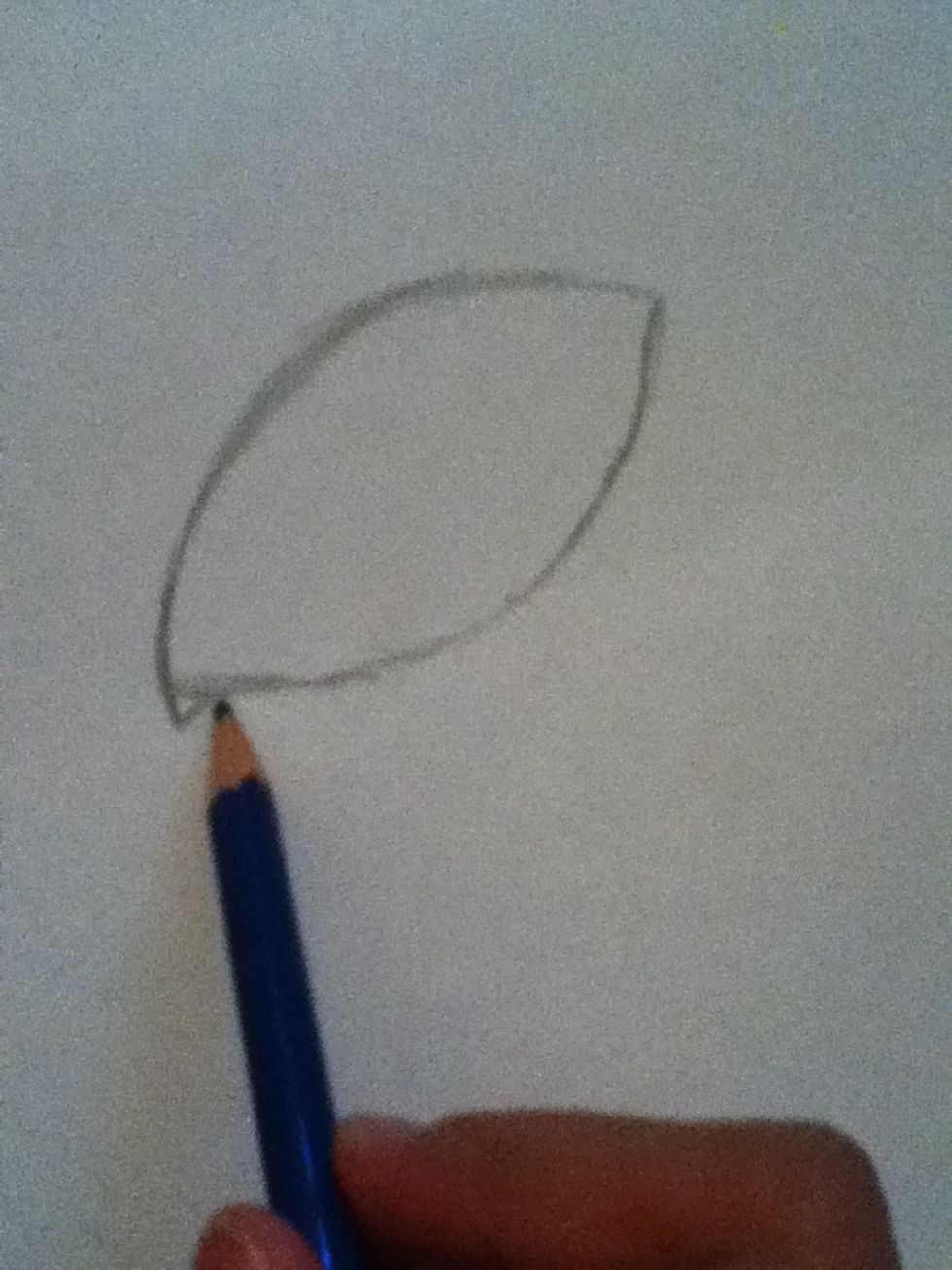 Make seperate curves at the end. The sharper curve will be where the nose will be. Attach these to your eye.