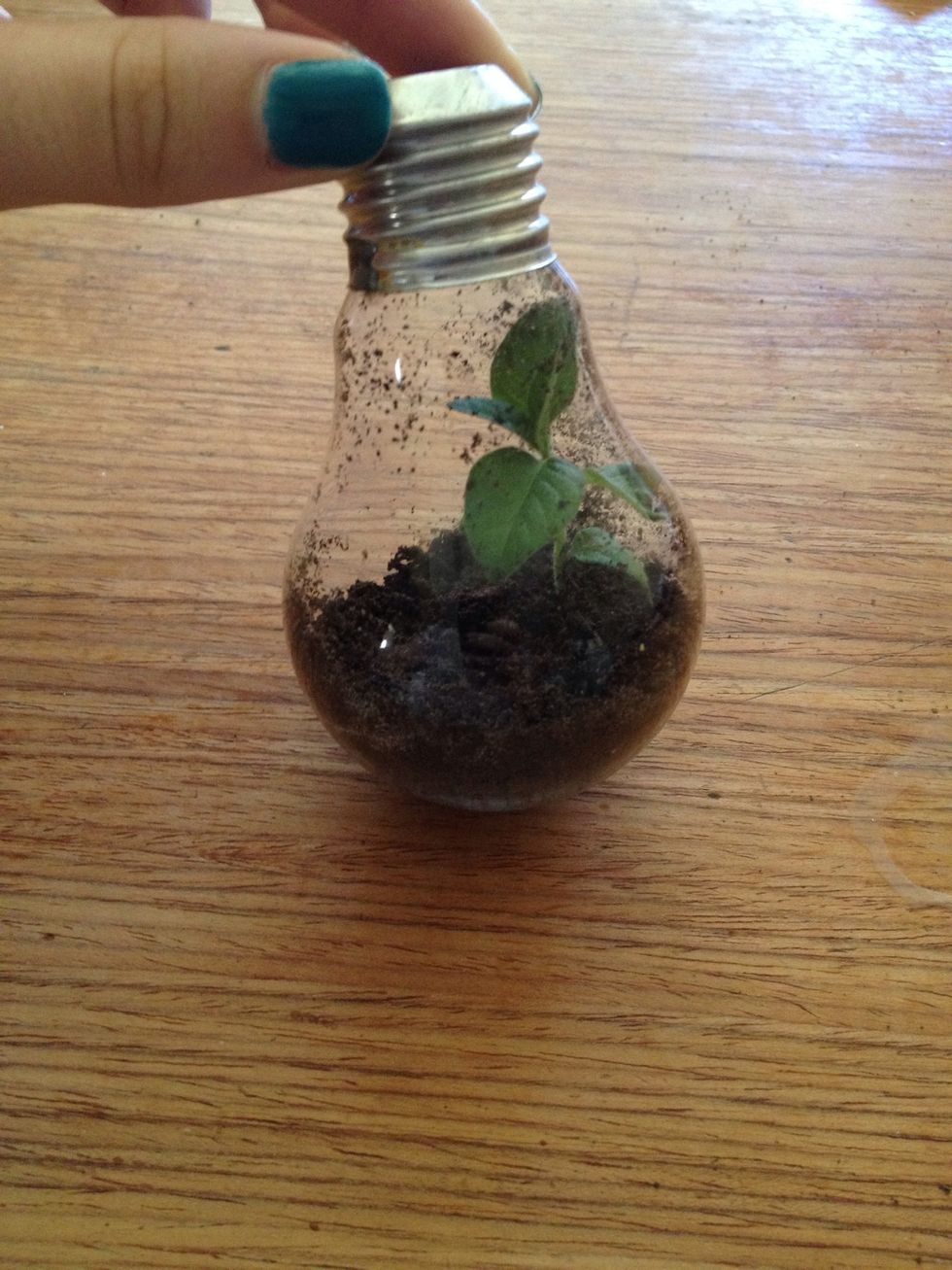 Make sure it is sitting as up-right as you can get it.