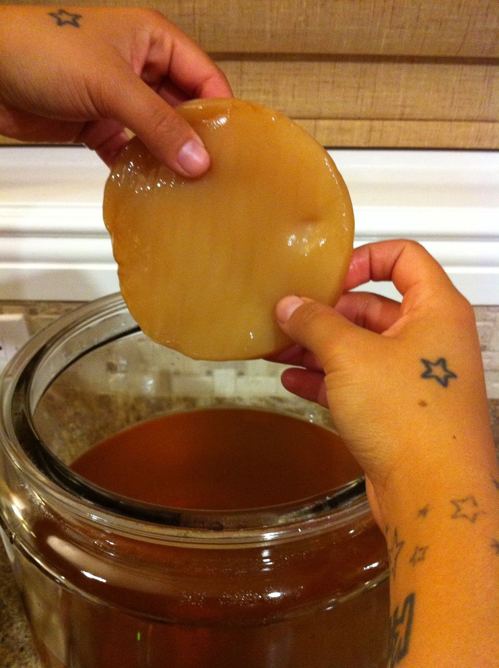 Make sure that the water went down to lukewarm temputure. Test it with your hands. Take that beautiful little miracle and add it in