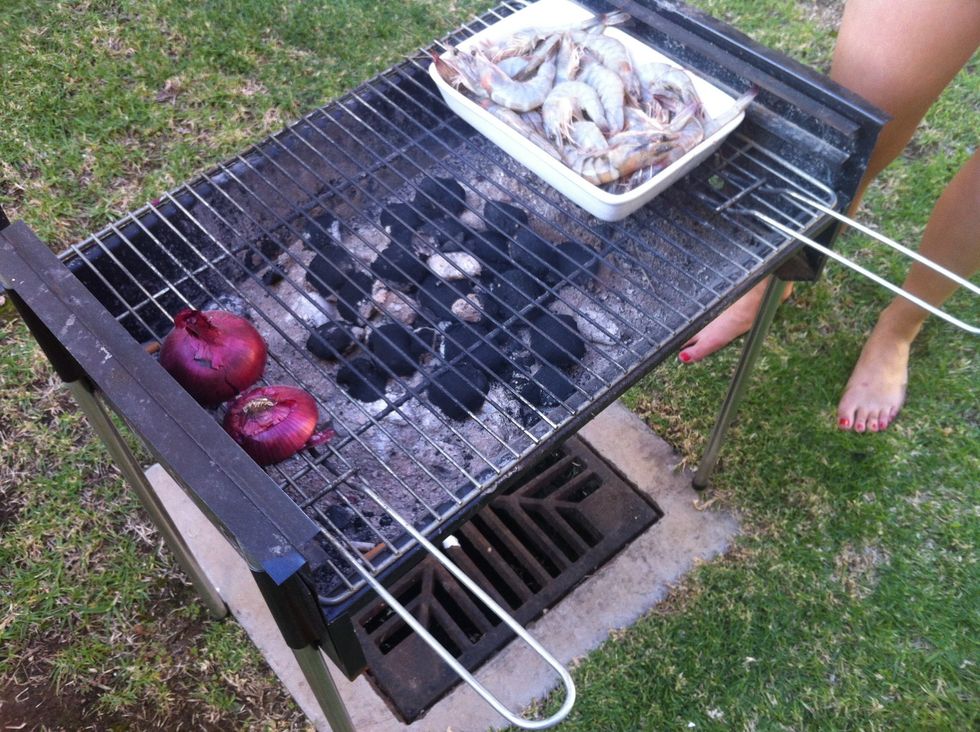 Make sure the coals are lank hot