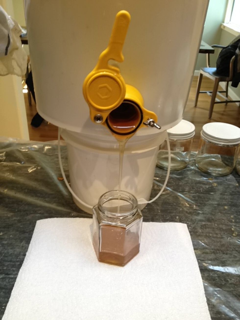 Make sure the honey is transferred back to the pail with the spigot. Put a lid on the bucket. Let the honey sit overnight, so the air bubbles can float up to the top. Now it's time to start bottling!