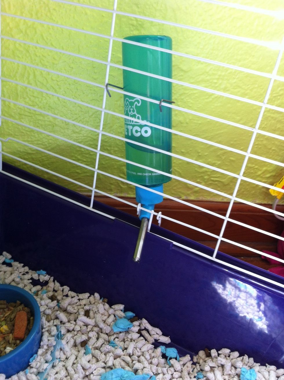 Make sure the water has a vitamin C supplement and they have water 24/7