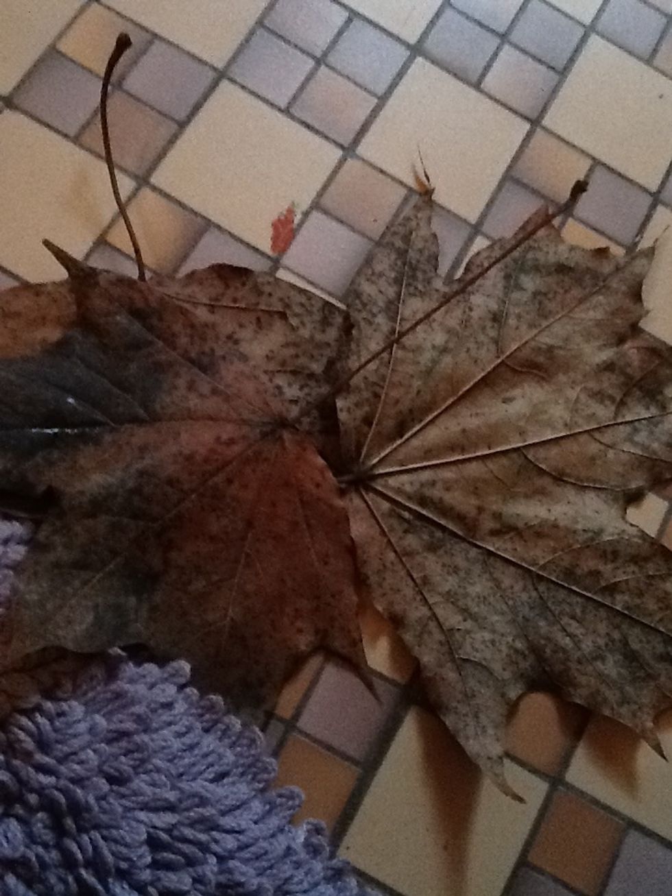 Make sure they are dry (I'm inpatient and dryer mine with a hair dryer and it worked great)