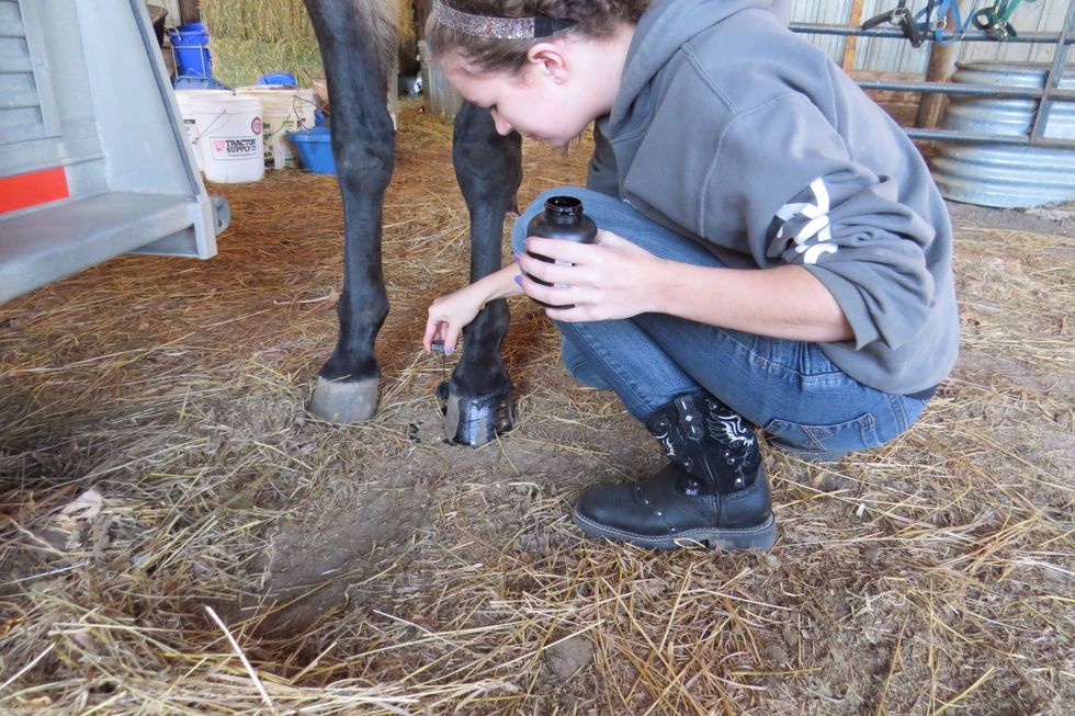 Make sure to cover the whole hoof!