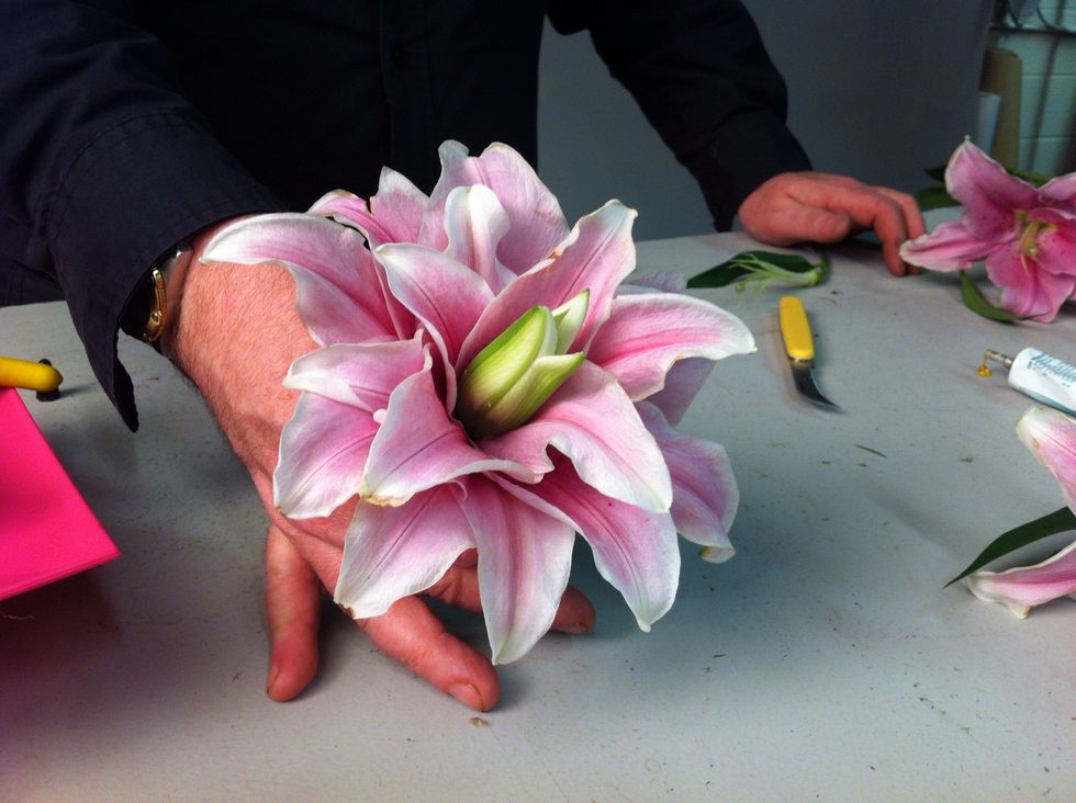Make sure to hold all the petals together with one hand while adding petals with the other.