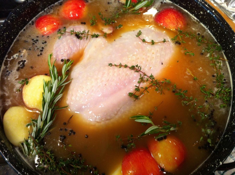Make sure turkey is completely covered. Turn every few hours. Soak turkey in brine overnight in refrigerator.
