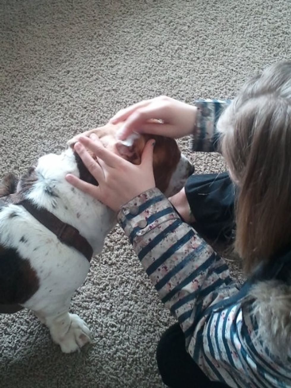 Make sure you are gentle with the dog ears because you do not want to hurt the dog..