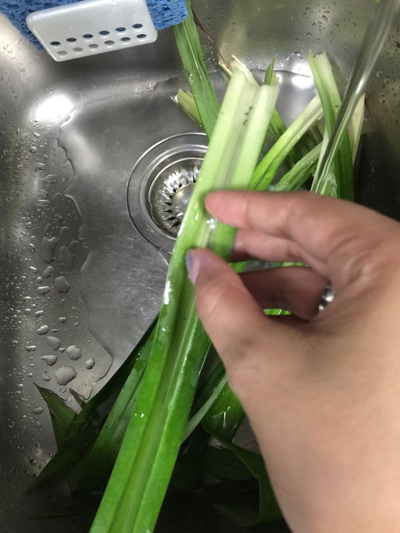 How To Make Agar Agar B C Guides