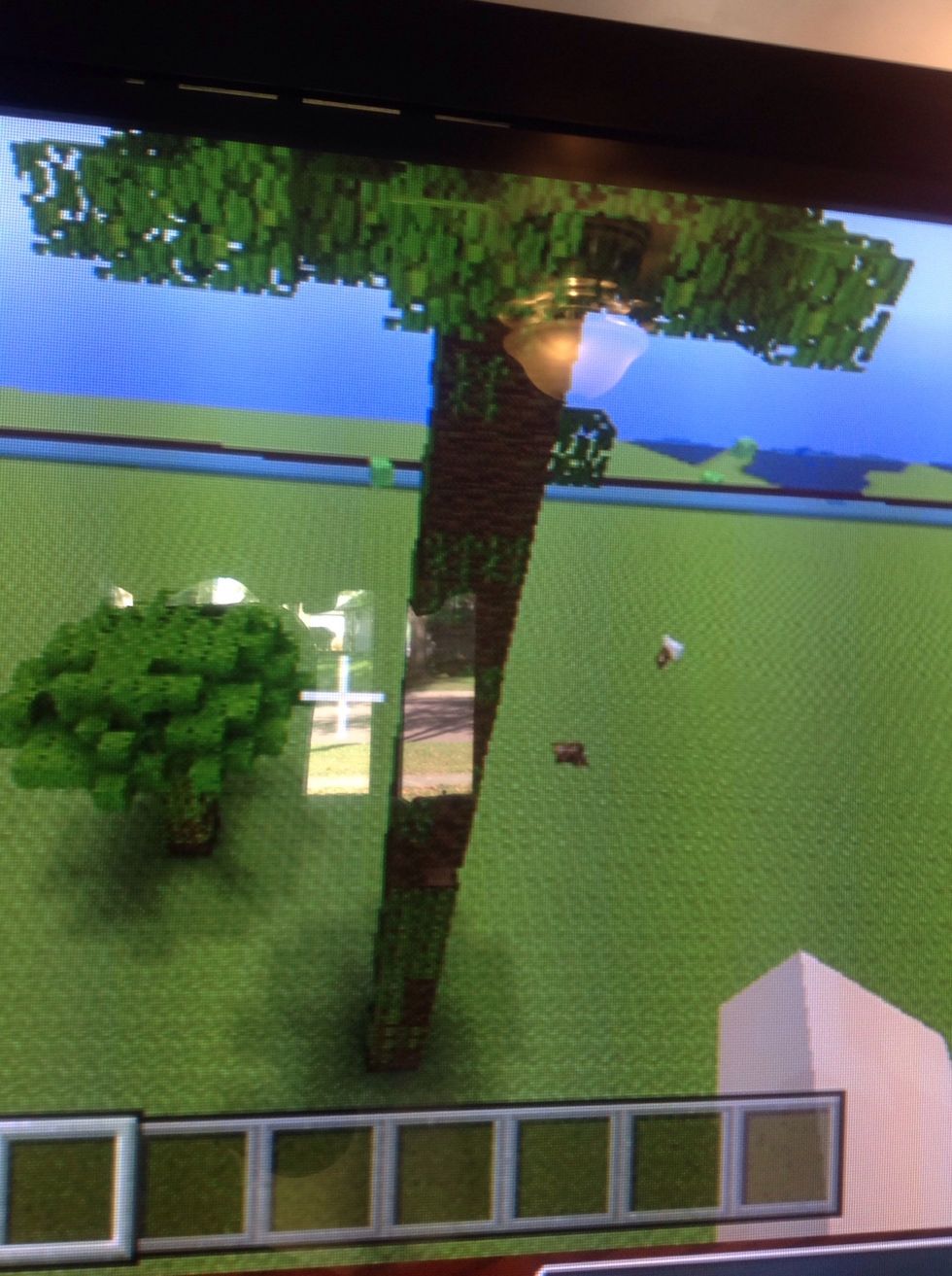 Make sure you cut off the branches.