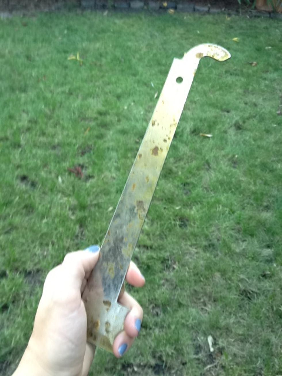 Make sure you have a hive tool handy.