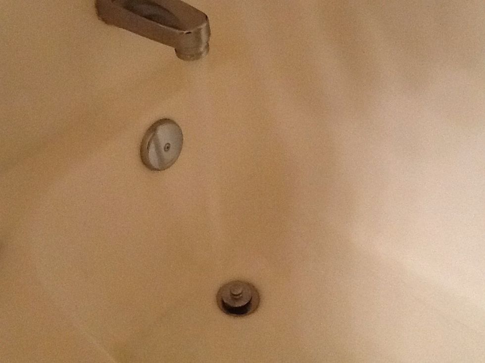 Make sure you start the bath before getting your dog and taking off the caller or harness.