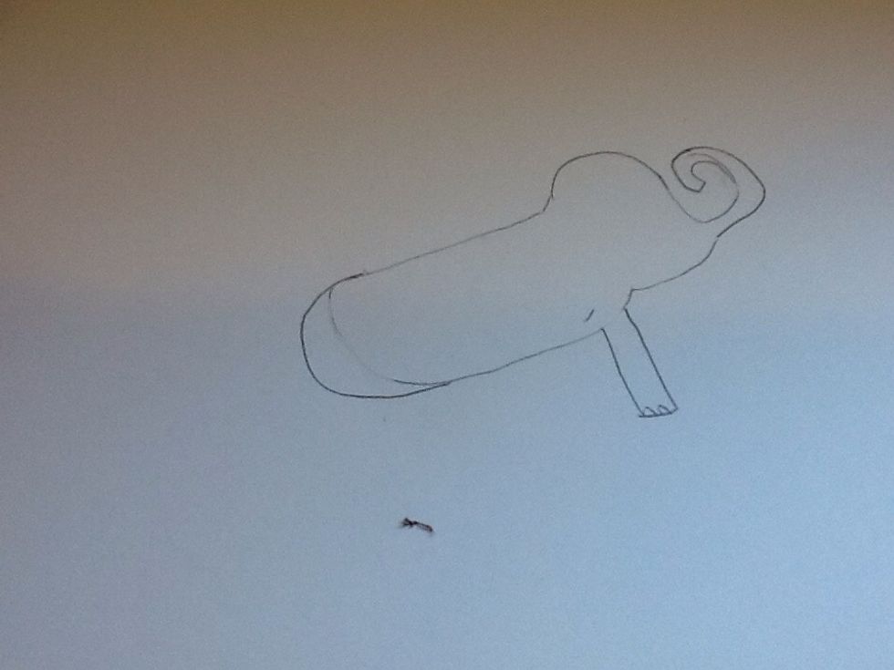 Make the butt and the stomach, and start adding the legs