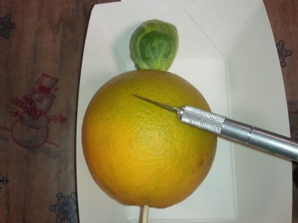 MAKE THE INITIAL SLIT - Have an adult use an Exacto or sharp kitchen knife to make a 1-2 inch slit through the rind of the citrus.  Allow students to throw small paper wads representing the stones.