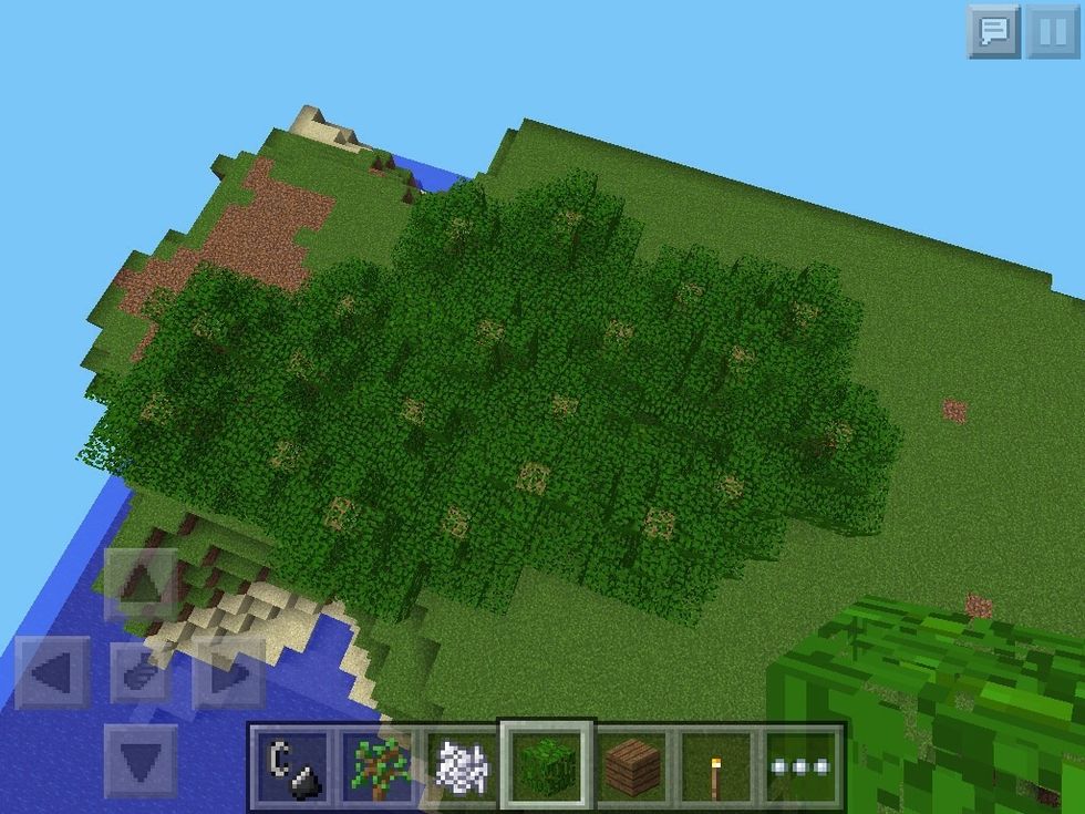 Make them grow fast with bone meal!!