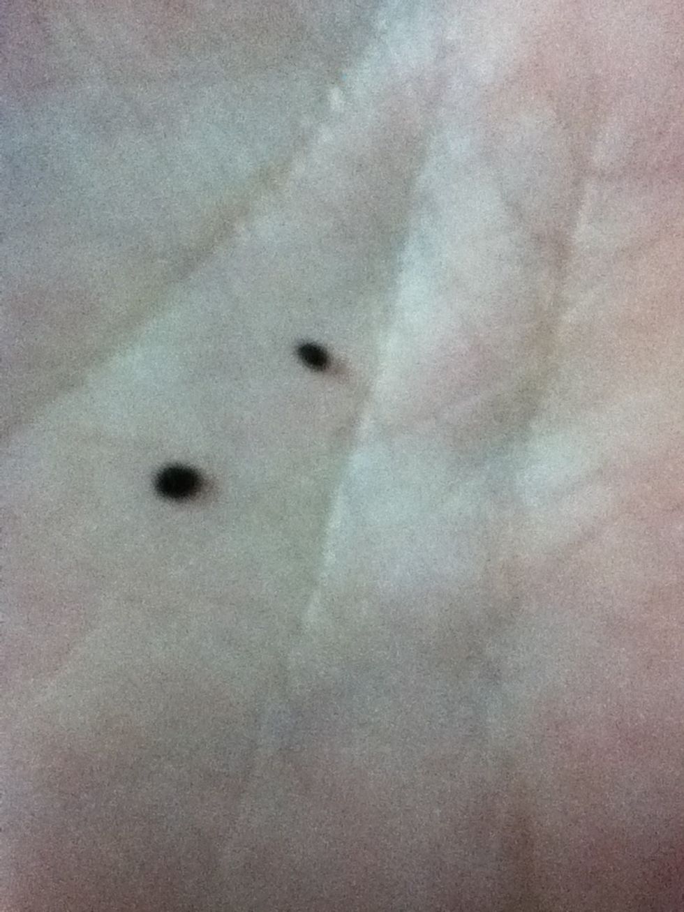 Make two small balls ( it's the eyes )