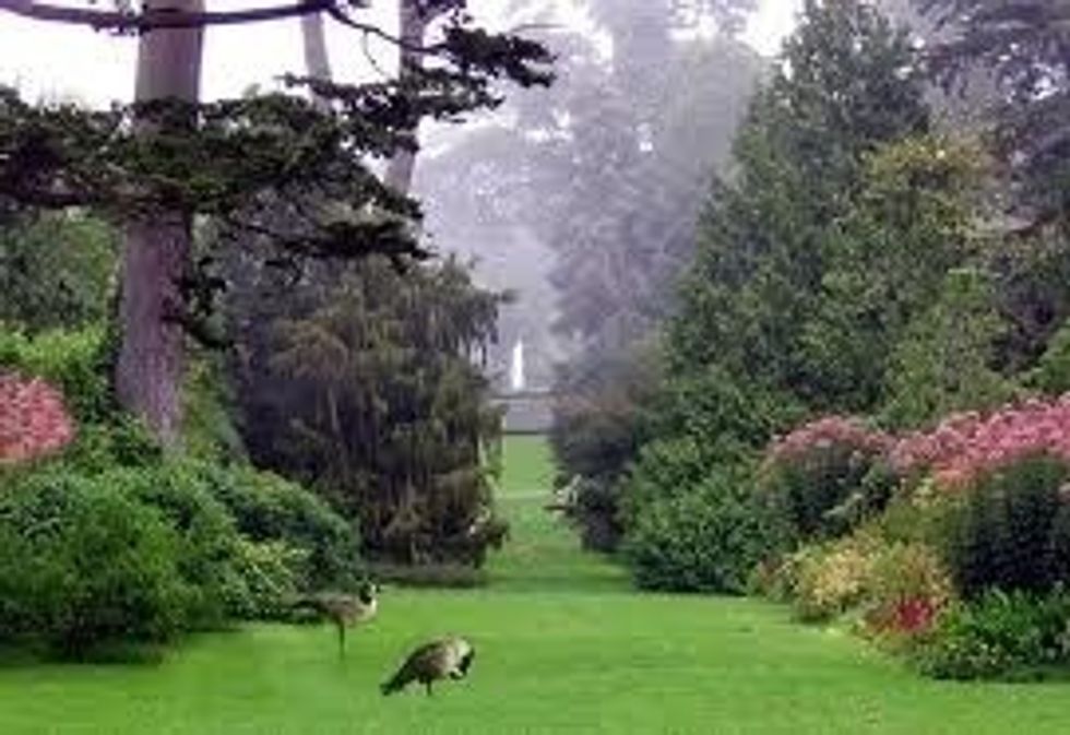 Many of the major attractions inside the park cost unless you go on the designated "free" days (Academy of Sciences, Japanese Tea Garden, etc.)But there are also all kinds of free events & activities.